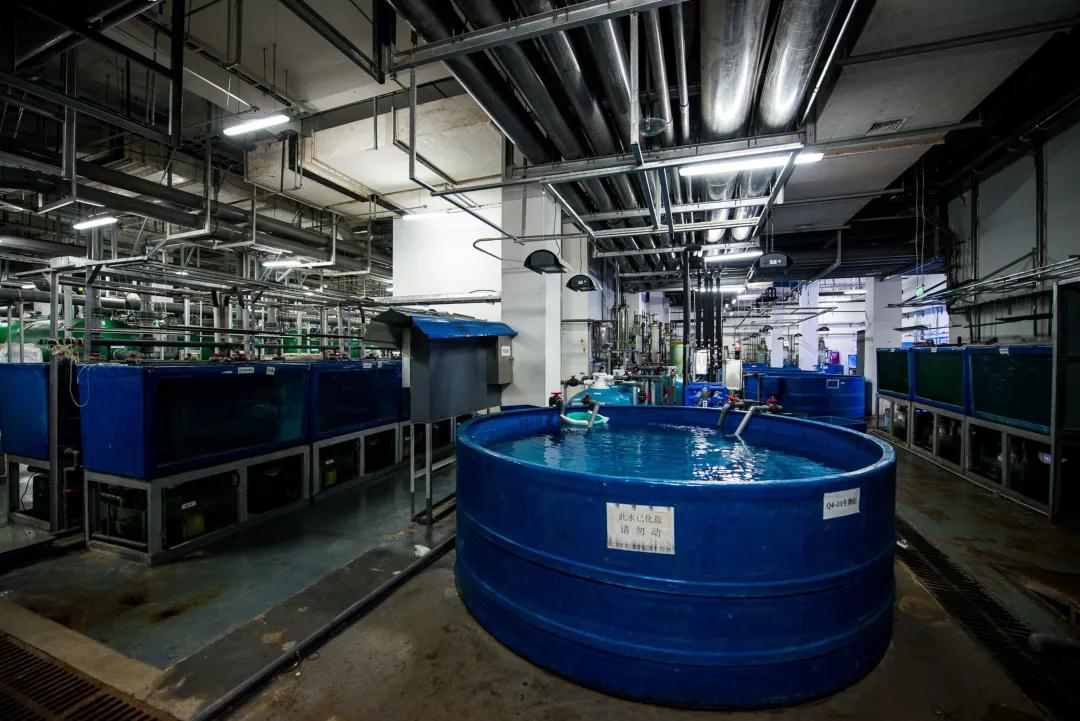 高溫(wēn)球閥,河北(běi)精密器件(jian),卡套式球(qiú)閥,法蘭球(qiu)閥,不鏽鋼(gāng)球閥,anquan閥,止(zhi)回閥,不鏽(xiù)鋼接頭,不(bú)鏽鋼鑄造(zao),不鏽鋼定(ding)制件,不鏽(xiù)鋼精密鑄(zhu)造,金屬鑄(zhù)造,不鏽鋼(gāng)鑄造,轉椅(yǐ)基座,鑄造(zao)工藝,家具(jù)配件,門配(pei)件,失蠟鑄(zhu)造,精密設(shè)備,檢測設(shè)備 1-21061G52110295.png